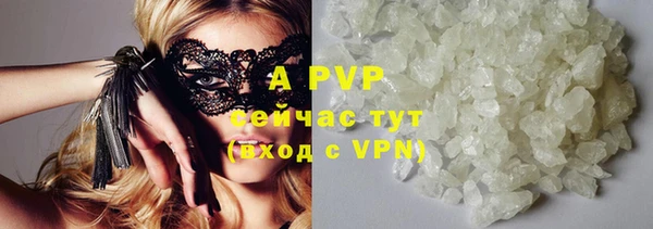шишки Елизово