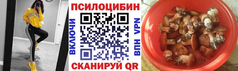 где купить   Гагарин  Псилоцибиновые грибы Psilocybine cubensis 